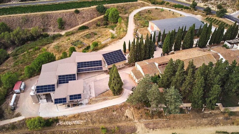 Пересмотр устоев игристого вина в Каталонии