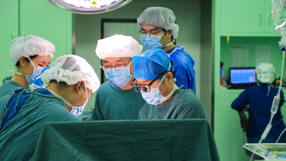 Китайская медицина совершила прорыв: первая пересадка печени ГМО-свиньи человеку