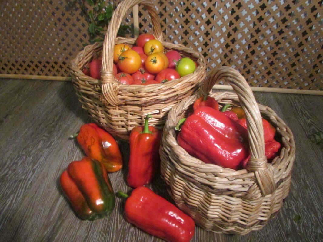 Томатный сок на зиму: легкий рецепт для занятых и ленивых