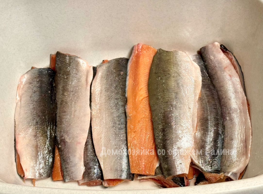 ��� ������� �����: ������ ������ ������� �� �����