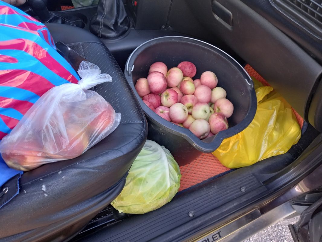 �������� �� ���������: ��� ��� �������� ��������� �� �����