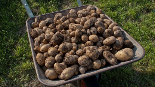 ��� ������� ���������� ������ ��� ������������� ����: ������ ���������������