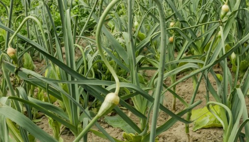 ������� ��������� ����� �������: ��� �������� ������ � ������� �������