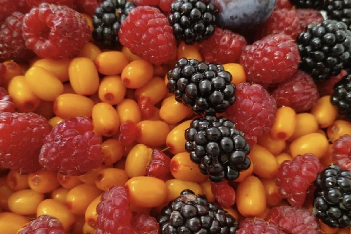 Как сохранить белизну зубов во время праздников