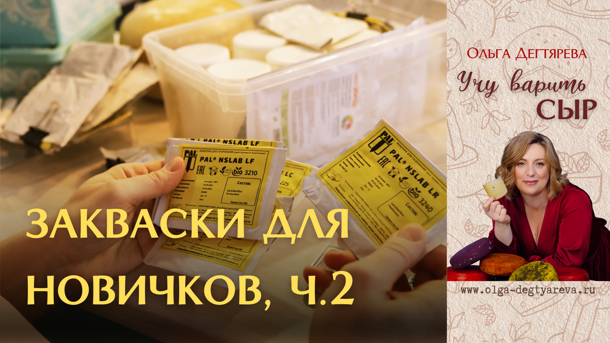 Сыры на любой вкус: 16 заквасок, которые должен знать каждый новичок