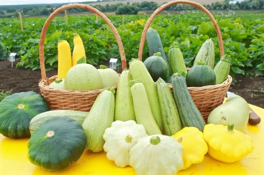 �������: ��� ���������� ������� ��� ������ �����