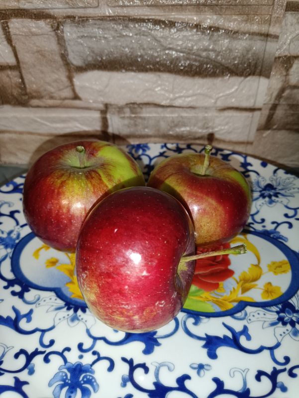 Возвращение на кухню: новые рецепты и неожиданные истории