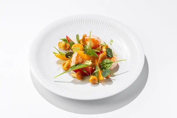 ������ ����� � ��������� � ����������