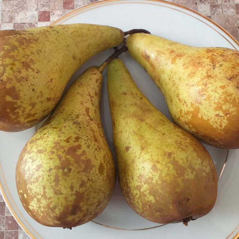 Шоколадный кекс с грушами: лакомство, которое впечатлит каждого