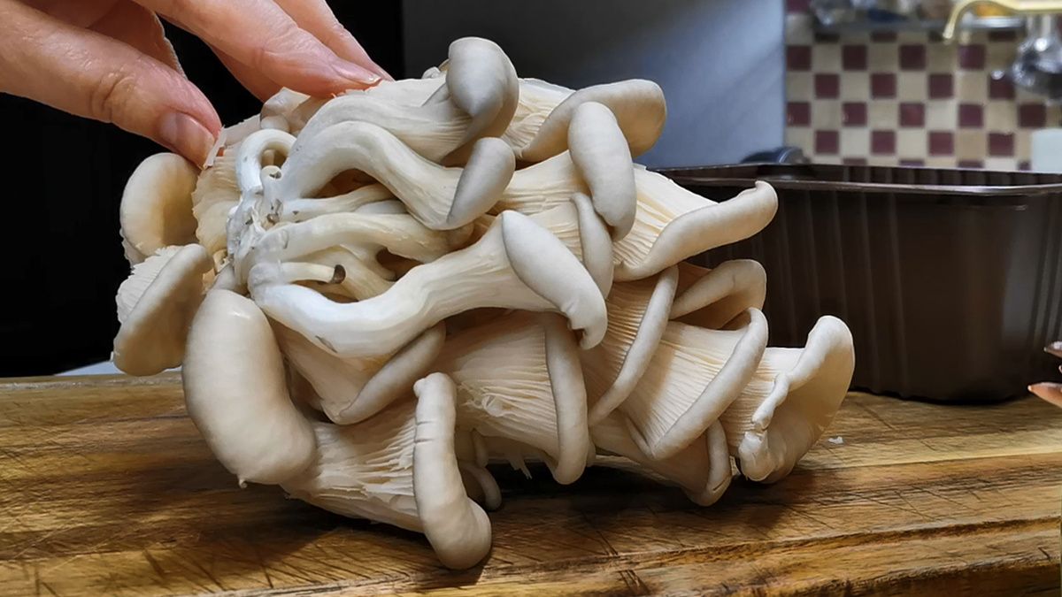 ������� ���� �� ������ � ��������: ������, �������� ��������� ��������� ����� � �����