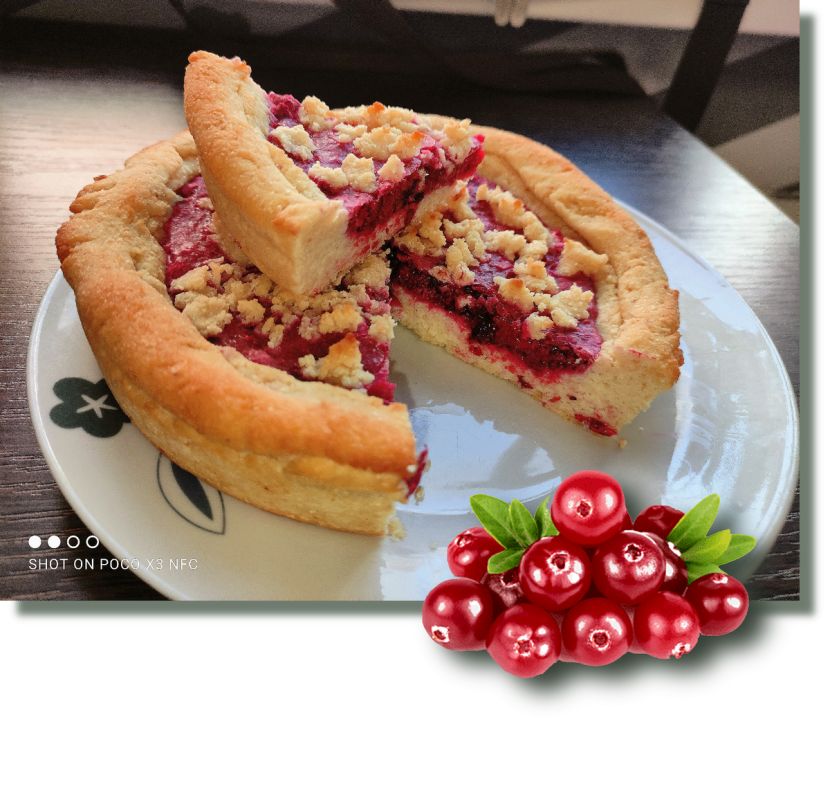 ����� ����-����� � �������: ������� ���������, ������� ���������� ����������