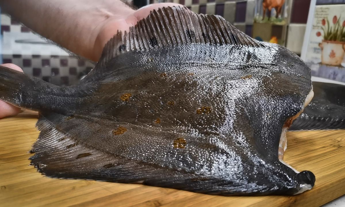 ��� ��������������� ������ ������� �������: ������� ������, ������� ������ ����