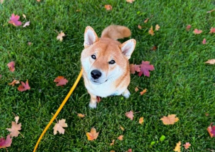 ����� � �����: ��� ��� ����� �������� ����� �������