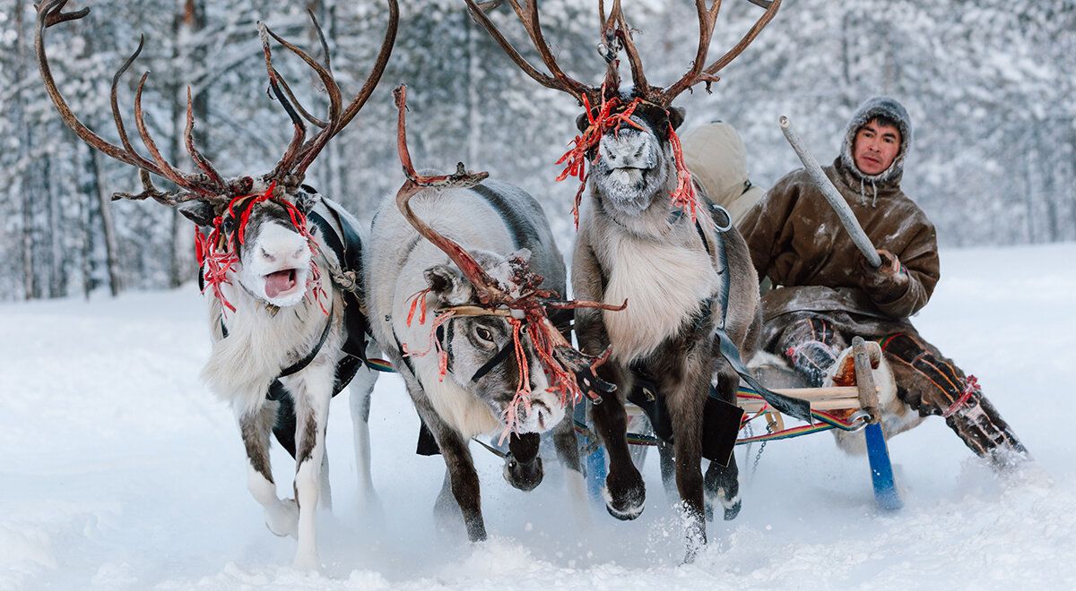 ����� ������: ��� ������� ������� �������� ���������