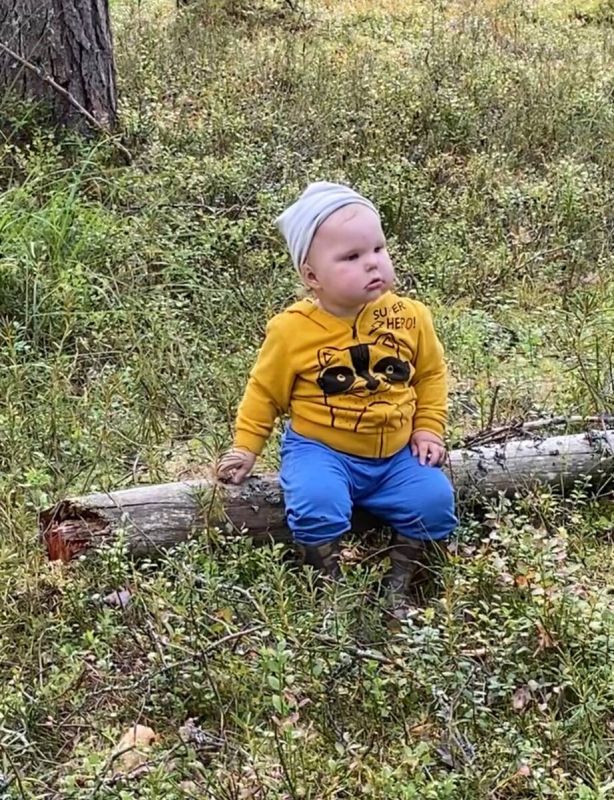 Зимние запасы: как черника превращается в кулинарные шедевры