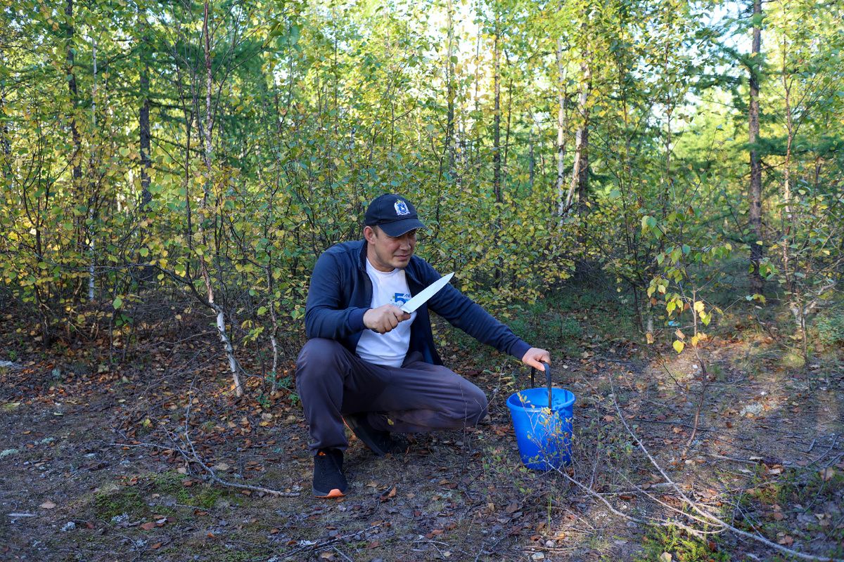 ����� �����: ������� ����������� � ��������� ���� ����