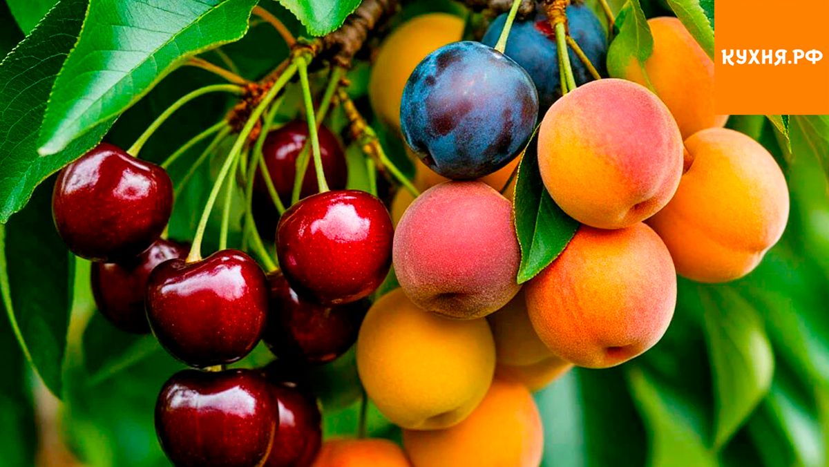 ������, ������� ��������: 40 ������ �� ����� �����