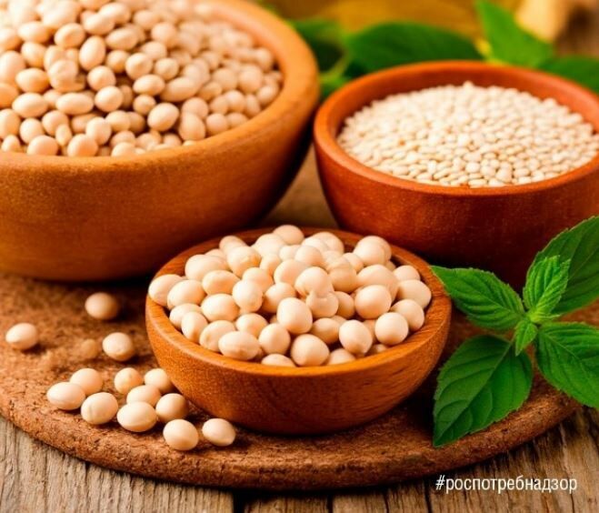 ������ ��������: ���� ����� �������� � �������� �������