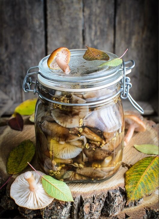 Вкусные маринованные опята: секреты идеального рецепта