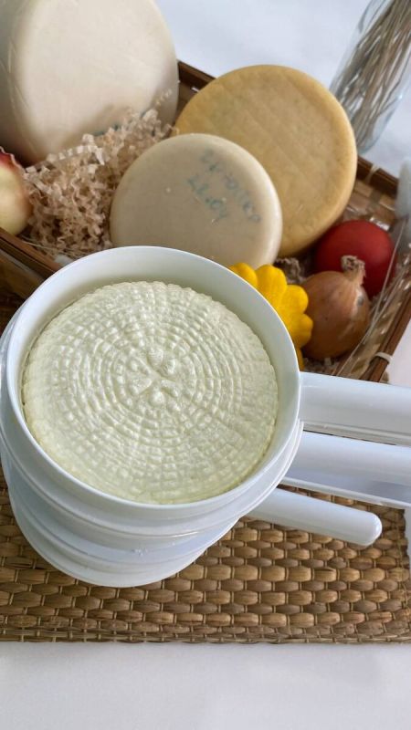 Как прессование влияет на качество сыра: секреты безупречного результата