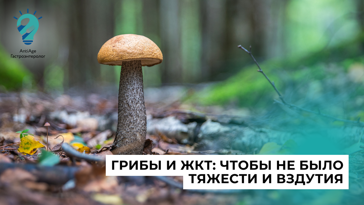 Можно ли есть грибы при проблемах с желудком и кишечником?