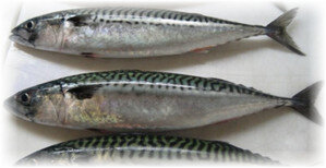 Как правильно варить скумбрию для максимальной пользы?