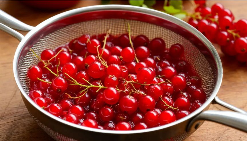 ��� ����������� ���� �� ������� ��������� ����� �� 15 �����