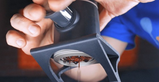 ���: ����� ������ �� ���� ���� ��� ��������