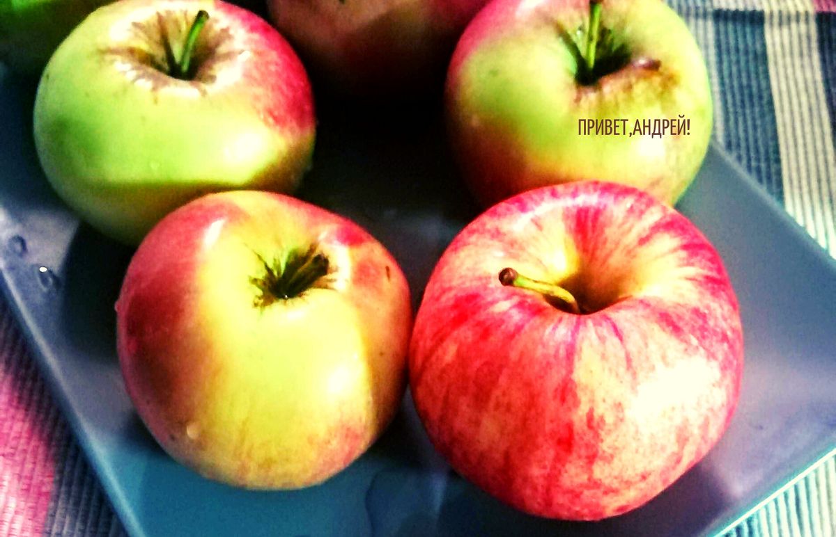 ������������� ������ ���������� ����� ����� �� 30 �����