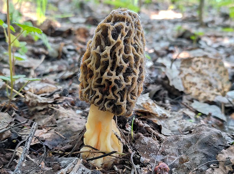 �������