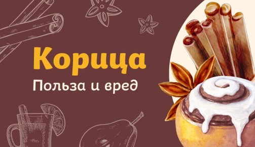 Корица: секреты пряности, которая когда-то стоила целое состояние