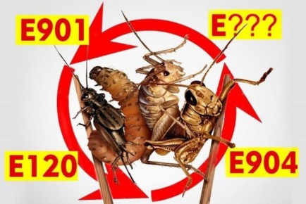 ��������� � ����� ���������: ��� ����� ����� � �-��������