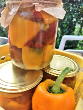 ��������� ���������: ����� � �����, ������� ��� ������