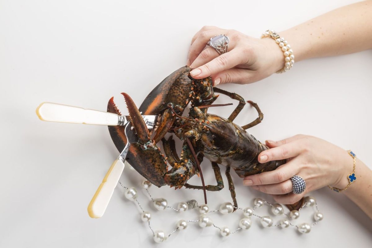 ���� ������� � ��������