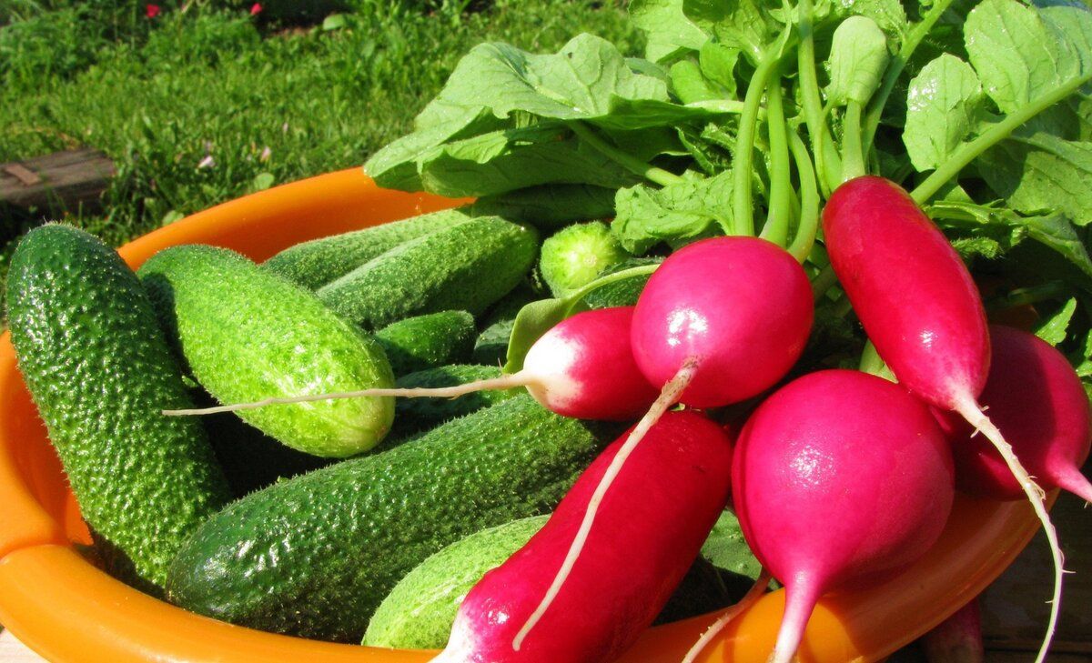 �������� ������: ��� ��������� ������ � ����������