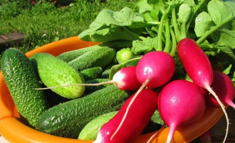 �������� ������: ��� ��������� ������ � ����������