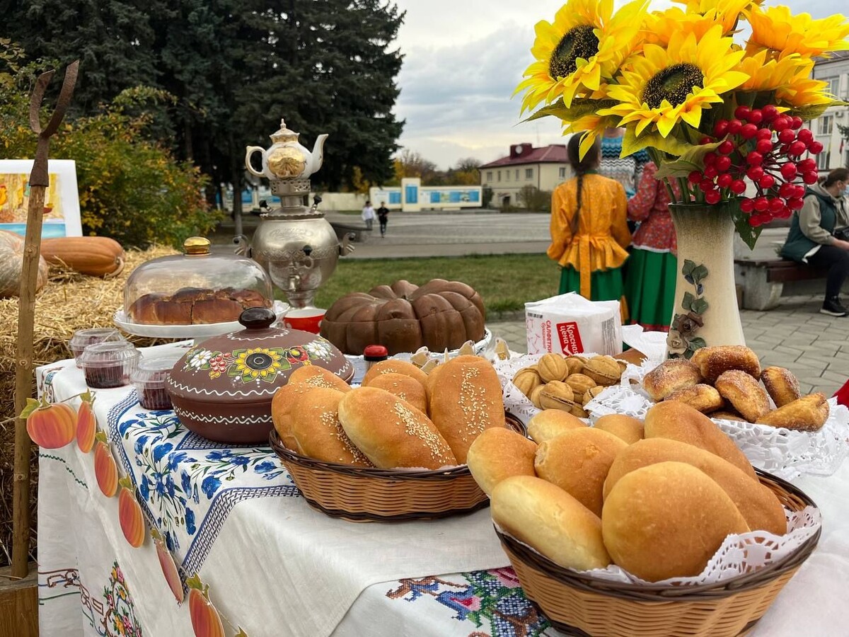 Урожай тыквы в Предгорном округе: более 10 тонн и благотворительный фестиваль