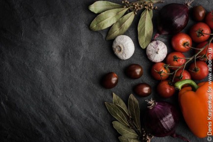 Лавровый лист: богатство вкуса и истории