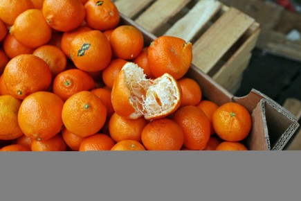 ��� ������� ��������� ���������: ������ ��������