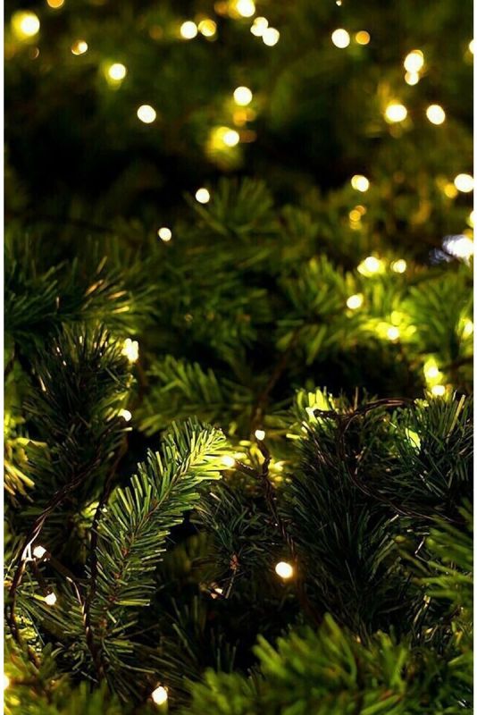 ���������� �������� � ���������� �������