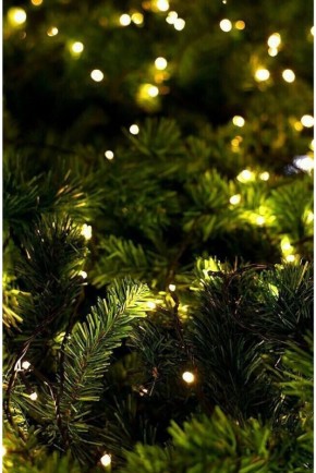 Новогодние традиции и кулинарные радости