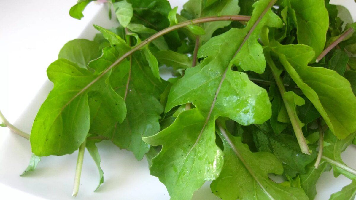 �������� �������� ������� ��� ���������: ��� �� ��������� �������