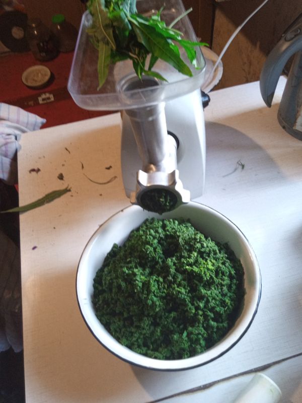 ����-���: ������� ��������� ��� ��������