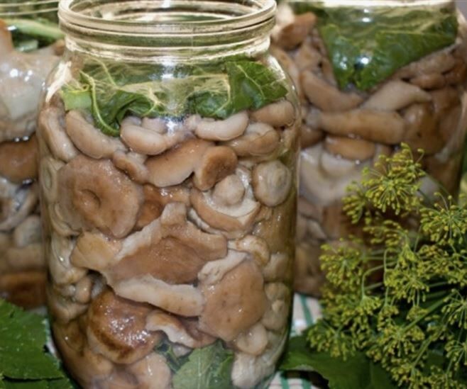 �������� ��� ���� ��������� ��������� ����������� ������