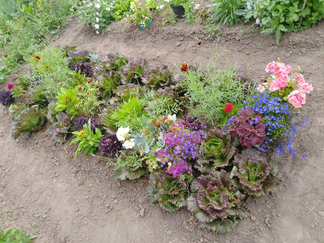 ��� ����� � ����� ������� ���������� ������ �� ����� �������