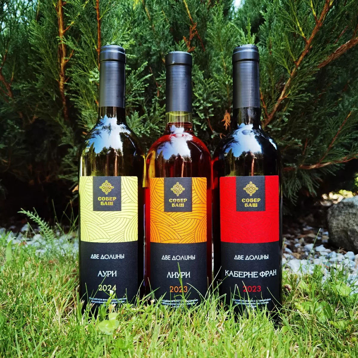 Бюджетные новинки «Две долины»: вино от Собер Баш с оригинальными вкусами