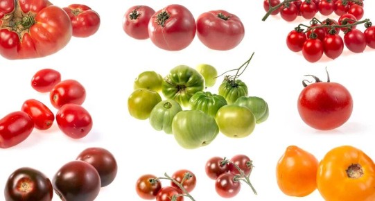 ��� ������� ��������� ��������: ������� �� ��������