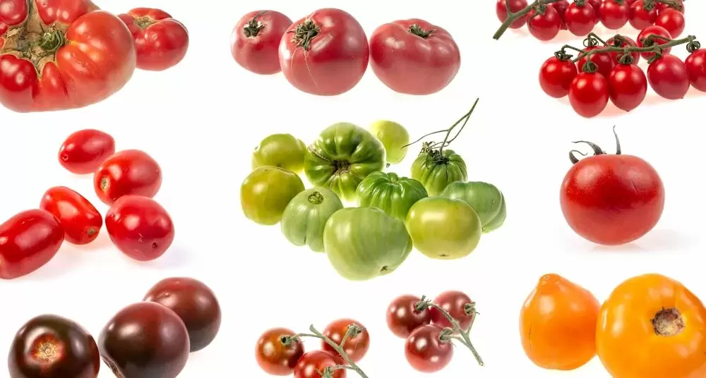 Как выбрать идеальные помидоры: секреты от агронома