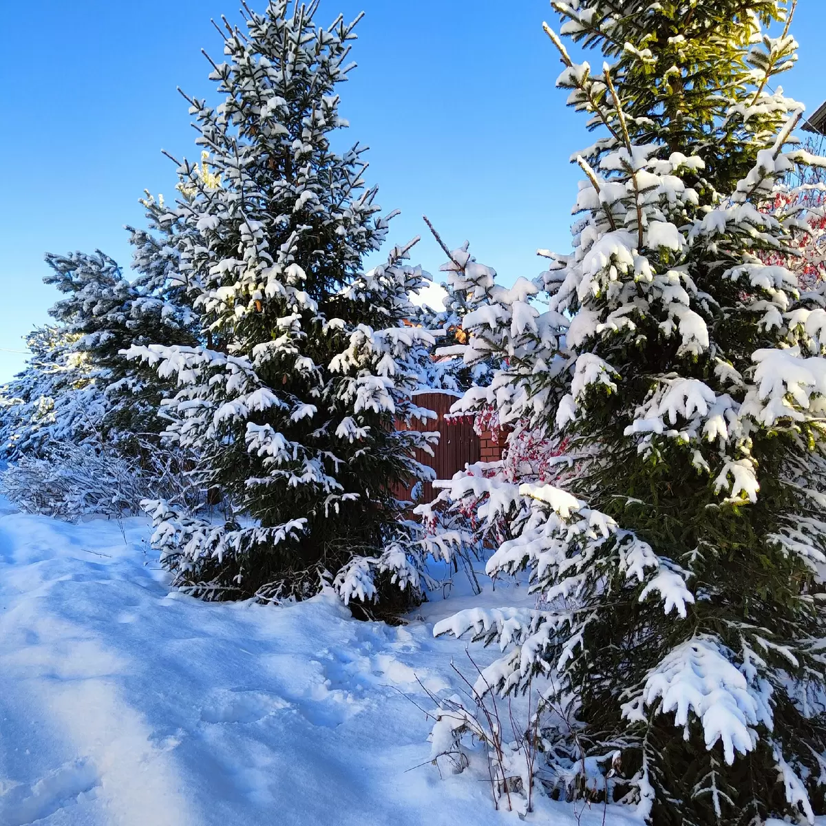 Суп с фрикадельками за 20 минут: идеальный рецепт для холодных зимних дней