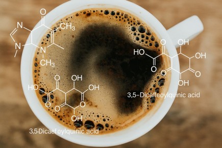 Кофе: Обман или чудодейственный эликсир? Разбираемся в мифах